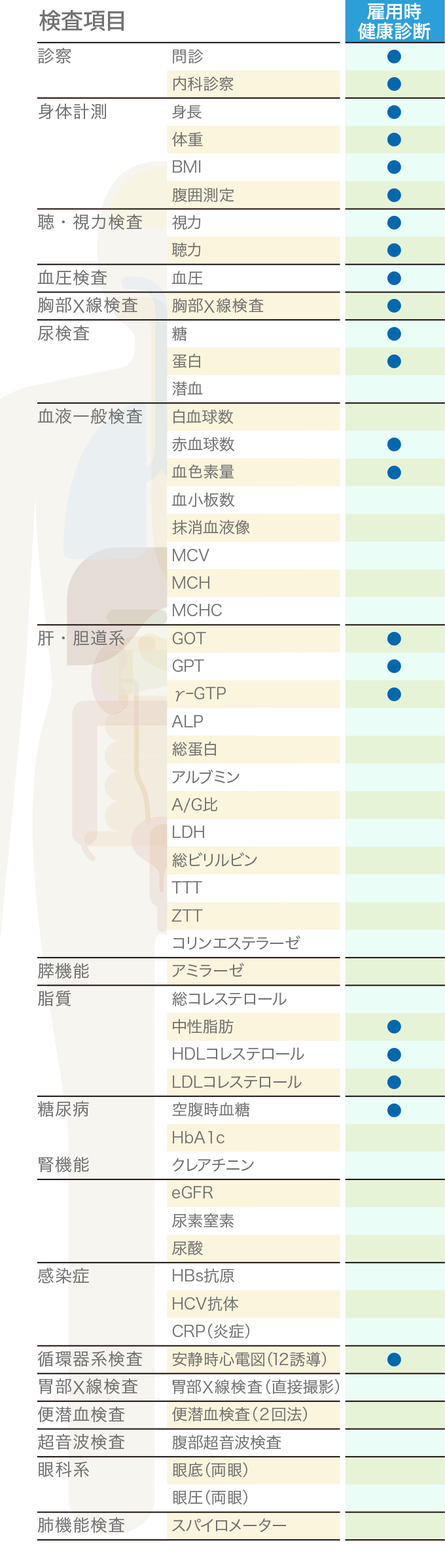 定期健診項目