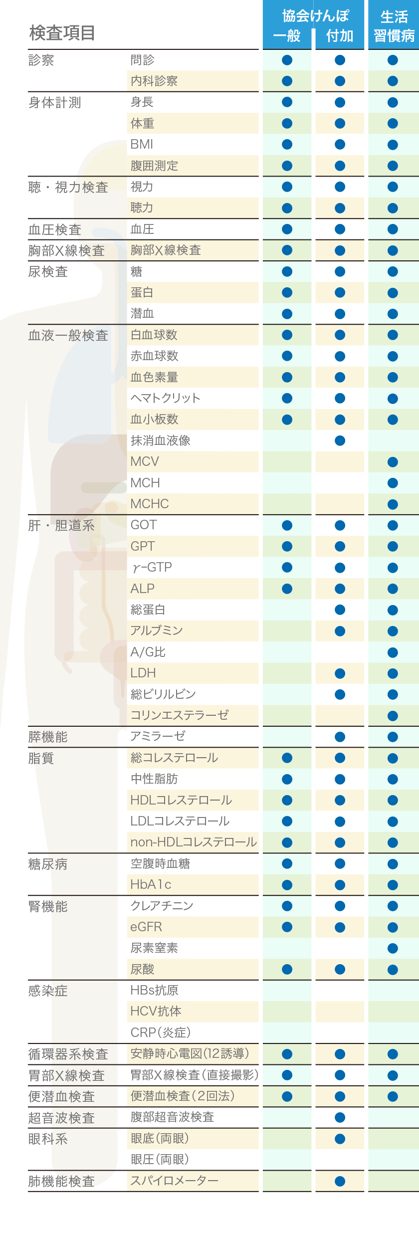 定期健診項目