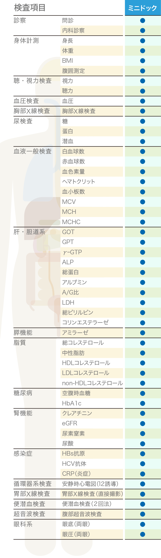 定期健診項目