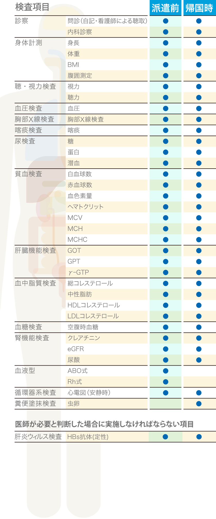 定期健診項目