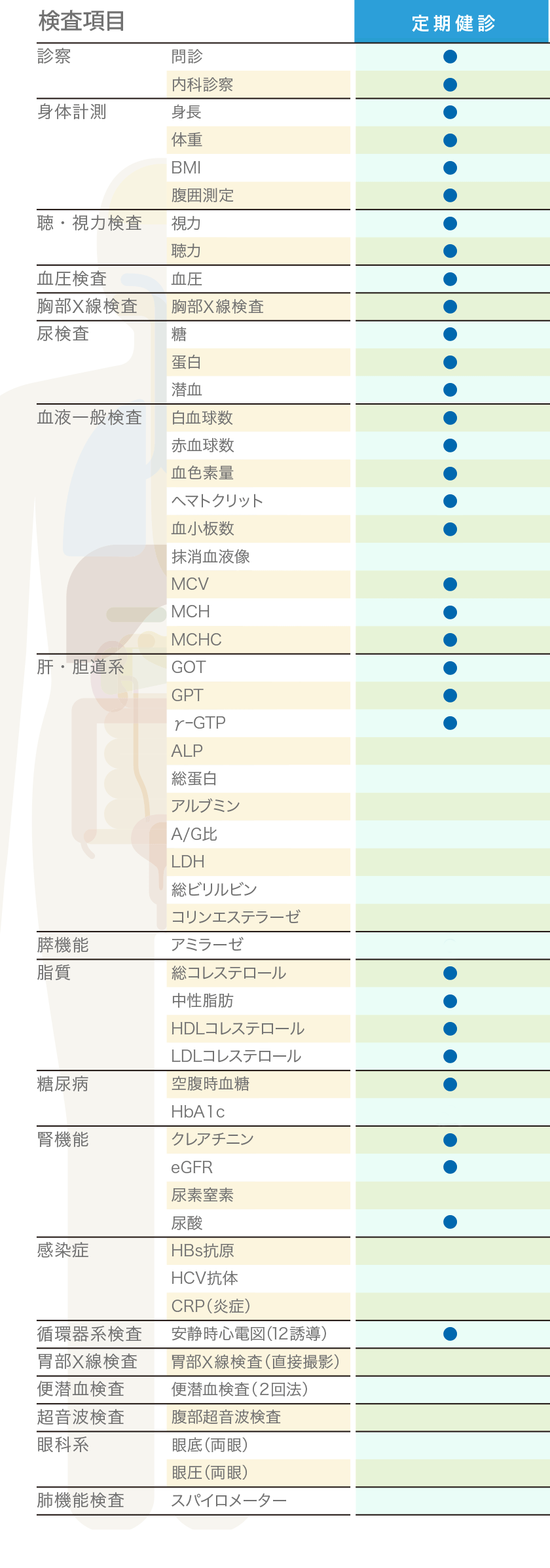 定期健診項目